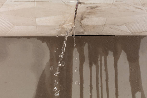 Professional Burst Pipe Cleanup technician working in Swan, IA